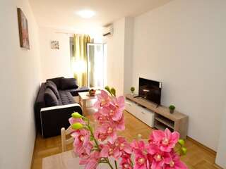 Апартаменты Apartments Anita Котор Апартаменты с 1 спальней-20